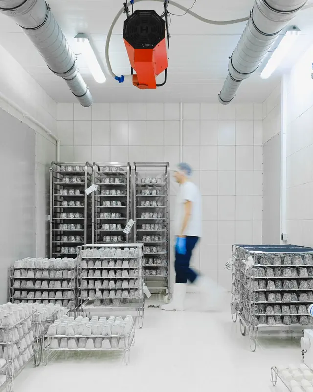 Worker in a hairnet walking through a white temperature-controlled room stacked with trolleys