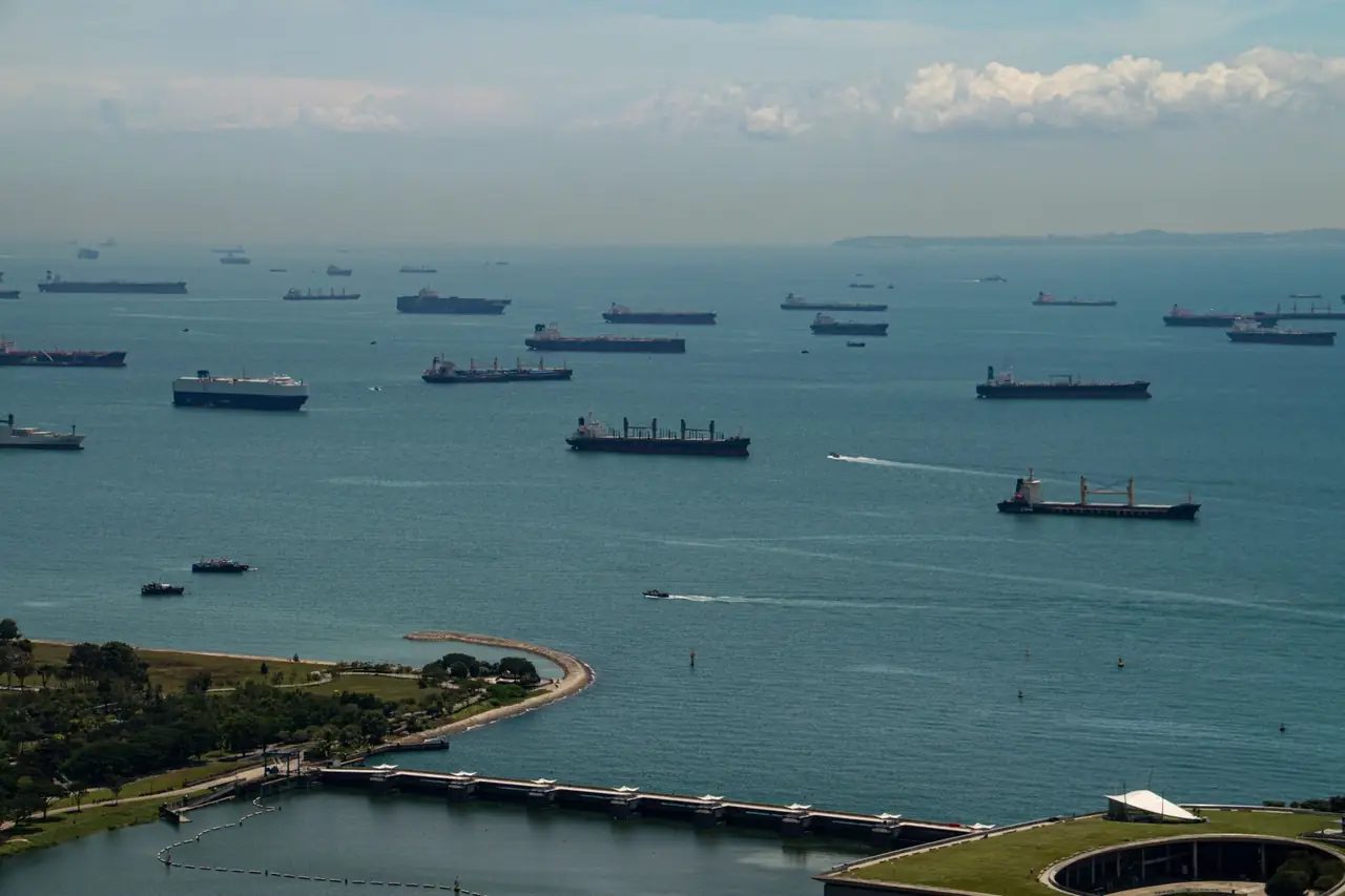 Dozens of cargo ships at anchor on a calm Singapore Strait, seen from above Marina Bay