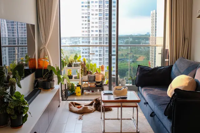 A lived-in living room with a blue sofa, plants on the balcony and tower blocks beyond the glass