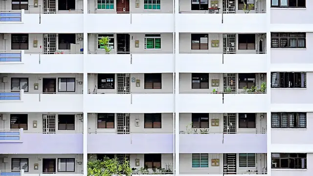 Rows of HDB flat windows and balconies, with laundry poles and potted plants