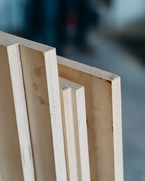 Plywood sheets stood on edge