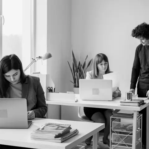 Three colleagues at laptops in a bright small office